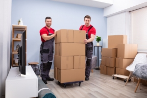 What kind of service does a moving company provide?